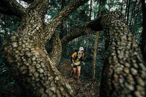 BIB: 
                            <button type="button" onclick="openModal(25392953)" class="btn btn-primary btn-sm float-right btn-popup" data-toggle="modal" data-target=".modal-high-quality">
                        <i class="fas fa-shopping-cart"></i> Add to Cart
                    </button>
                                            <button type="button" onclick="isThisMe(25392953, true)" class="btn btn-success btn-sm float-right btn-popup btn-isme hidden" data-toggle="tooltip" data-placement="bottom" title="นี่คือรูปของคุณใช่ไหม คลิกที่นี่เพื่อเอาเข้าอัลบั้ม">
                        <i class="fas fa-plus"></i> Add to album
                    </button>
                    <button type="button" onclick="isThisMe(25392953, false)" class="btn btn-warning btn-sm float-right btn-popup btn-isnotme hidden">
                        <i class="fas fa-ban"></i> Remove from album
                    </button>